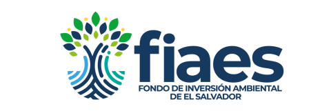 fiaes logo
