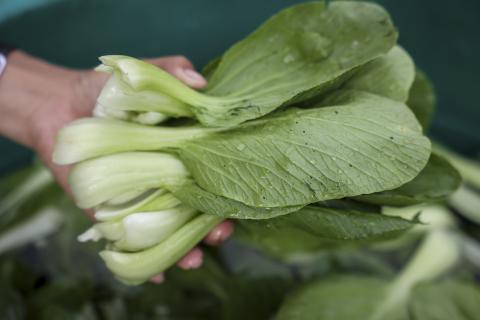 lao2024103285.jpg
