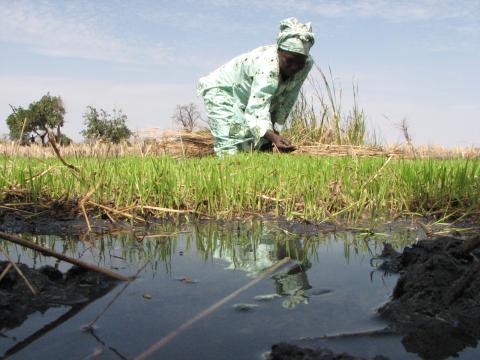 person in field