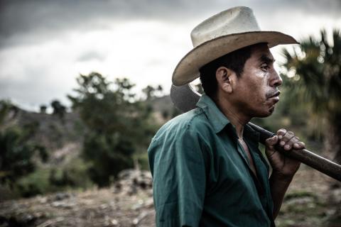 gua201944177.jpg