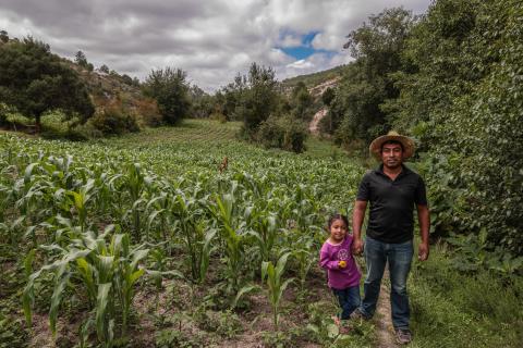 mex2023091976.jpg mex2023091976.jpg