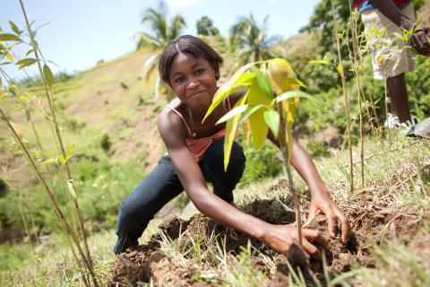 Una joven agricultora sembrando café.