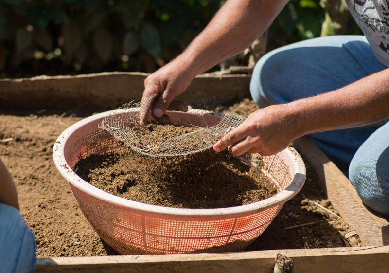 Soil health is at the root of healthy crops. Photo by Philip Laubner/CRS