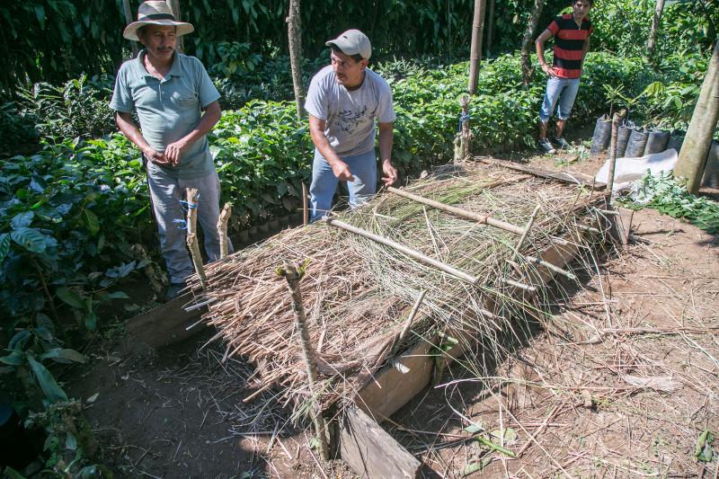 Farmers protect the soil through shade and experiment with ways to capture more water. Photo by Philip Laubner/CRS