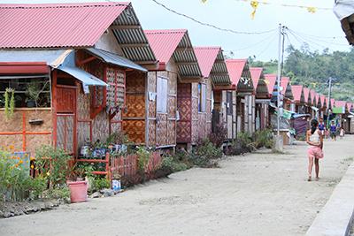 CRS is marking the second anniversary of Super Typhoon Haiyan by celebrating the construction and repair of 20,000 storm-resistant shelters on Leyte island. The shelters are home to more than 100,000 people. 