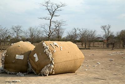 These bales of cotton were left abandoned in 2011, when the cotton industry collapsed in Zimbabwe. Many cotton farmers tried to grow maize instead, but the increasingly hot, dry climate is no longer suitable for it. Photo by Nancy McNally/CRS