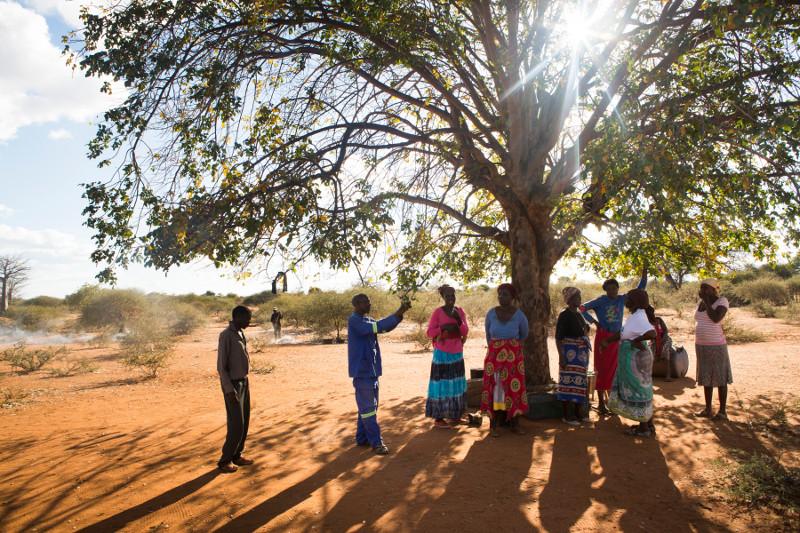 CRS and partners work with communities in Beitbridge, Zimbabwe, to mitigate the impact of the drought. One way is to encourage communities to work with drought resistant animals and plants. Photo by Elie Gardner for CRS