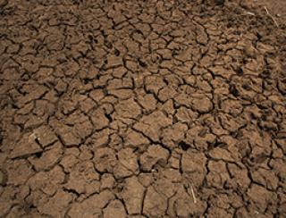 drought