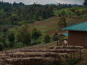 Democratic Republic of Congo