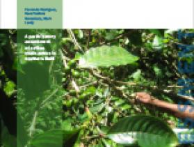Assessment of Haitian Coffee Value Chain