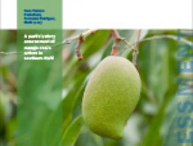 Assessment of Haitian Mango Value Chain