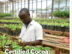 Certified Cocoa
