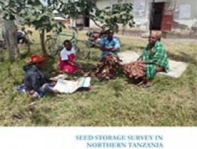 Seed Storage Survey in Northern Tanzania