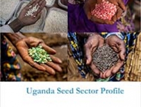 uganda_seed_sector_profile
