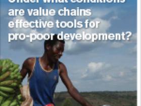 Under What Conditions Are Value Chains Effective Tools for Pro-poor Development?