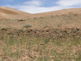 Afghan man with hills in background 