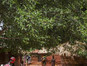 Benin motorcyclist