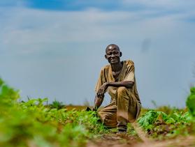 Man kneels in field of crops