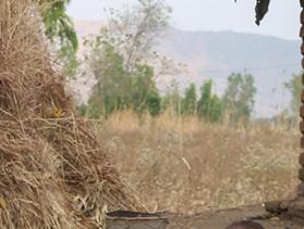 early childhood development advocate in Malawi