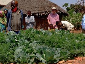 Muktar Muhamed learned the benefits of keyhole gardens. Keyhole gardens are small, raised-bed gardens that need minimal amounts of water. Photo by Fikru Dessalegn for CRS  