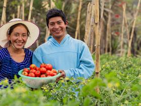 a couple from Guatemala holding a basket of tomatoes