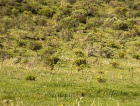 Lesotho watershed inspection