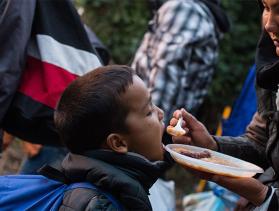 Refugees from Syria and Afghanistan cross the border from Serbia.