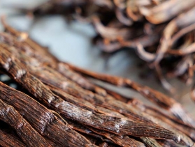 Uganda vanilla bean bundles