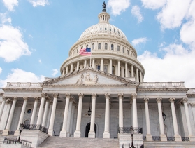 The U.S. Capitol 
