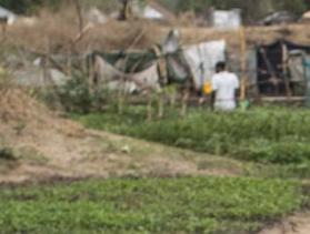 woman carries produce in South Sudan