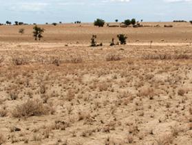 woman carries water jug in drought-stricken Kenya