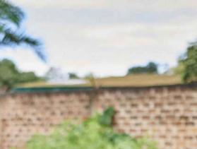 women in garden in Central African Republic