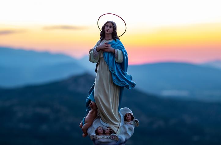 Imagen de la Virgen de Concepción