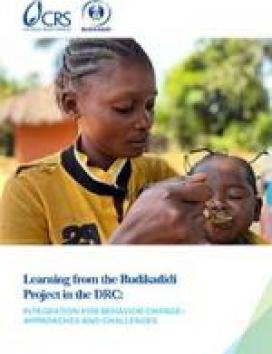 Budikadidi learning brief