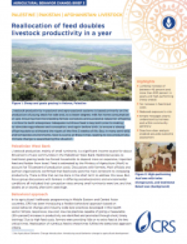Reallocation of feed doubles livestock productivity in a year
