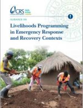 Livelihoods Programming report cover
