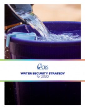 pouring clean water into bucket