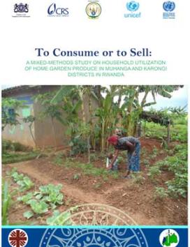 Publication cover