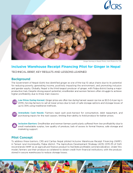 Nearly 90% of ginger produced in Nepal is exported[3], however, despite this strong export potential smallholder and women farmers are often not able to take advantage and benefit from higher profitability