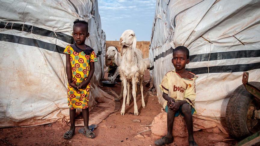 children and goats