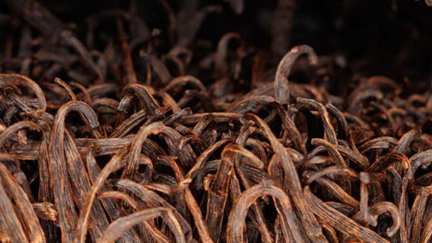 Vanilla beans
