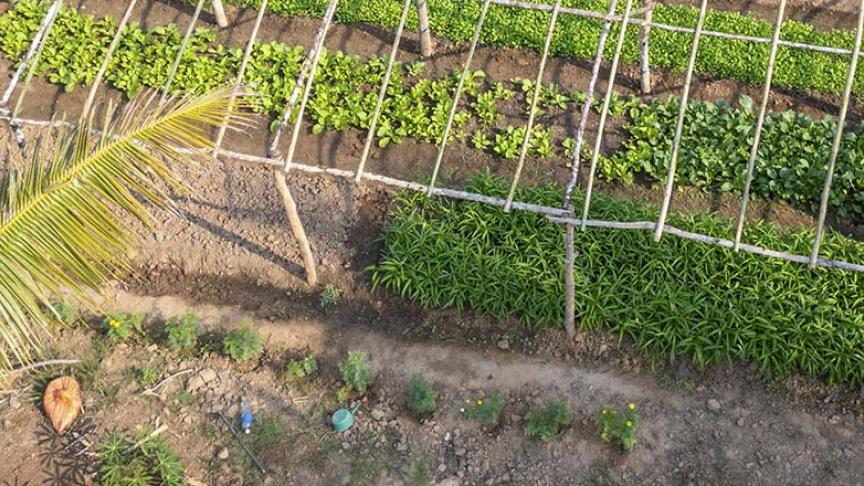 Aerial view of a farm in Laos.