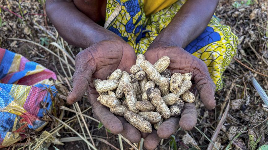 Short-term emergency assistance and long-term development activities help families build resilience.