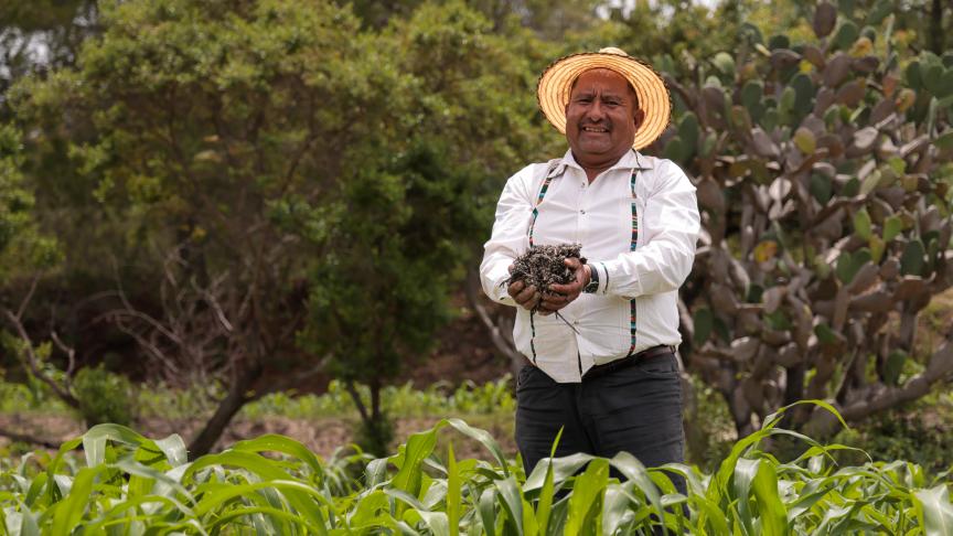 Jesús León Santos standing in a green agricultural field, holding soil in his hands, wearing a straw hat and traditional clothing, with trees and cacti in the background.