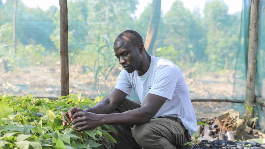 man crouching over plants