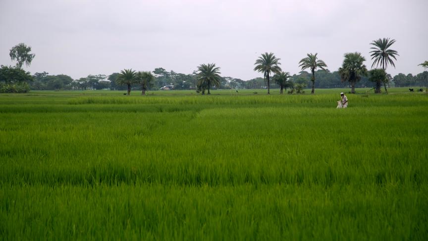 ban2013091936.jpg