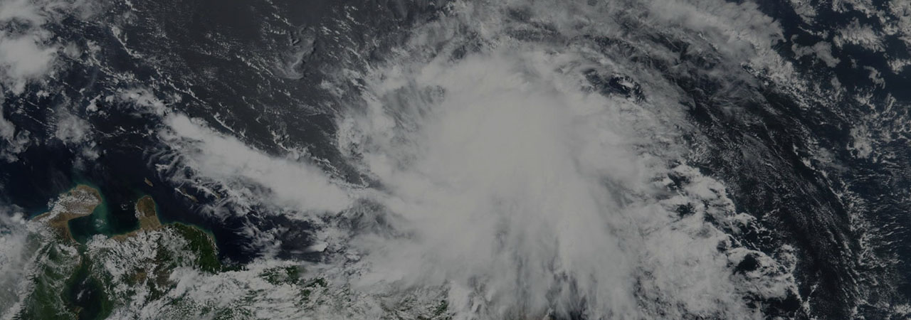 Tropical Storm Elsa Tropical Storm Elsa