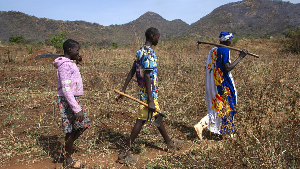 Three people walking in a field with farming tools.