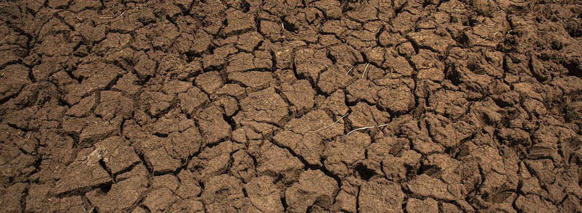 drought drought