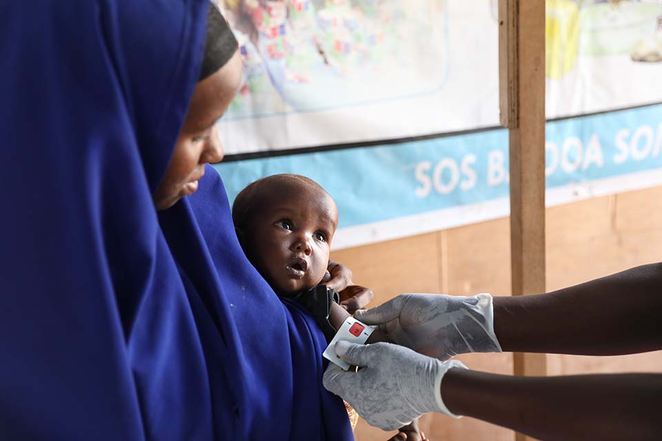 somalia health check